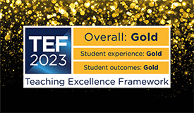 TEF 2023 - Gold