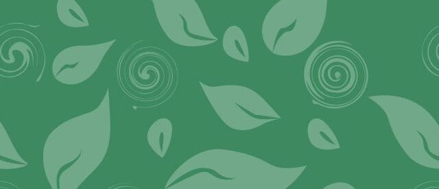 Sustainable Development Committee Update