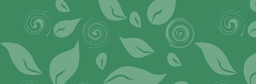 Sustainable Development Committee Update